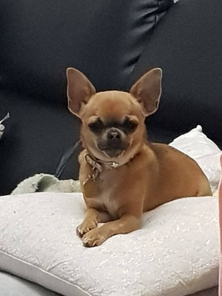Nala Du Secret Des Dieux